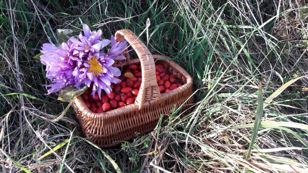 Stará Lesná Zeleny Dom Vysoke Tatry 빌라 외부 사진